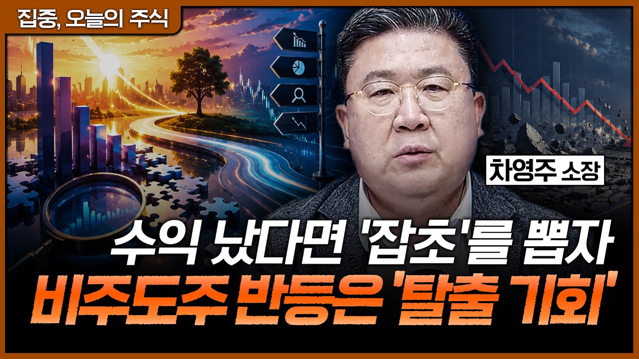 포모를 이기는 주도주 선점 전략ㅣ차영주 와이즈경제연구소 소장 [집중 오늘의 주식]