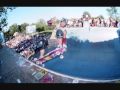 screeching weasel we skate