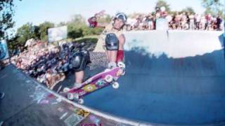 screeching weasel we skate