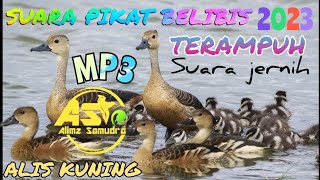 Download lagu SUARA PIKAT 🎯 BELIBIS🔥 ALIS KUNING TERBAIK PENUH BERKAH ||  BIRD TRAPPING mp3