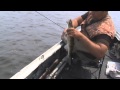 Рыбалка+типы проводок (джиг) 
