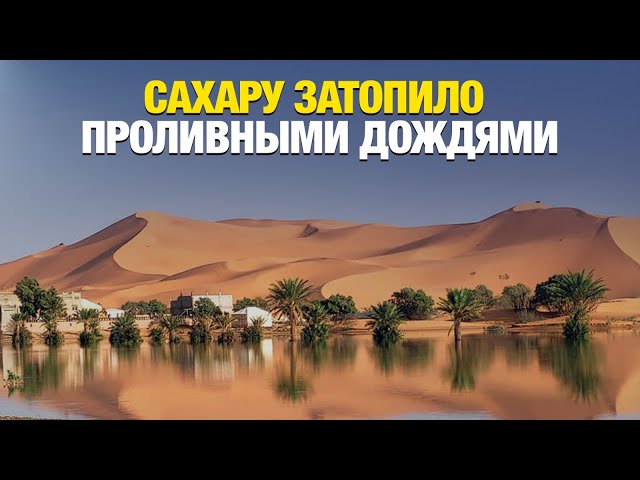 Самую сухую пустыню в мире Сахару затопило проливными дождями