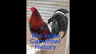 Download lagu THE KELSO HISTORY mp3