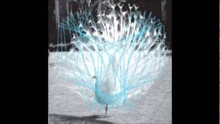 Valerio Tricoli, Thomas Ankersmit - Hunt