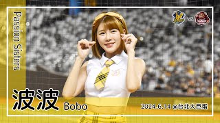 【台湾チア】波波 Bobo | Passion Sisters | 岳政華,岳東華,陳俊秀 應援曲 + 嗆司曲 進取勝利 + 小翔之歌 [中文歌詞]