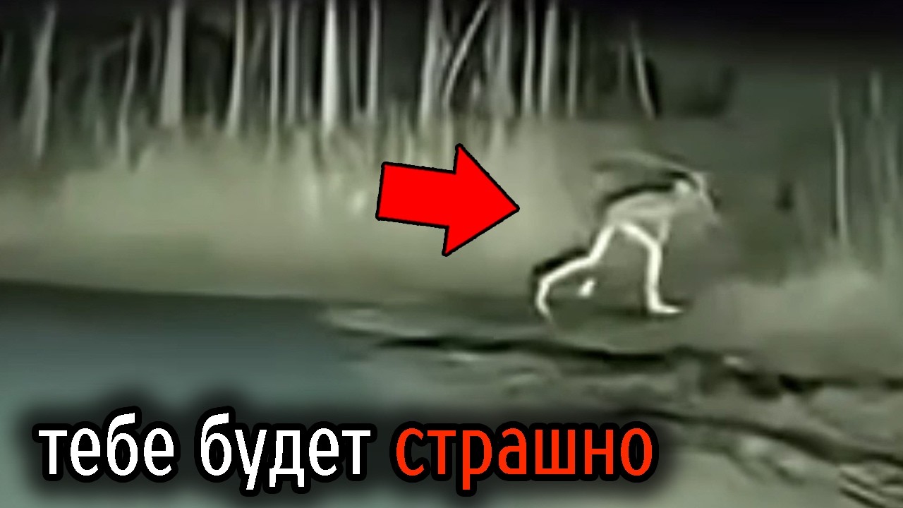 Самые Ужасные Видео со Всего Мира #101