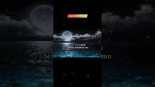 Download lagu ADA BAND - NYAWA HIDUPKU #songlyrics #liriklagu #lirik #lirikmusic mp3 Download lagu ADA BAND - NYAWA HIDUPKU #songlyrics #liriklagu #lirik #lirikmusic mp3
