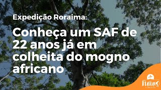 Miniatura do vídeo