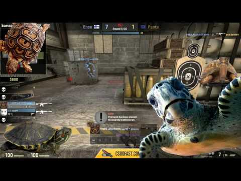 DreamHack Qualifier: ENCE vs PENTA (Cache)