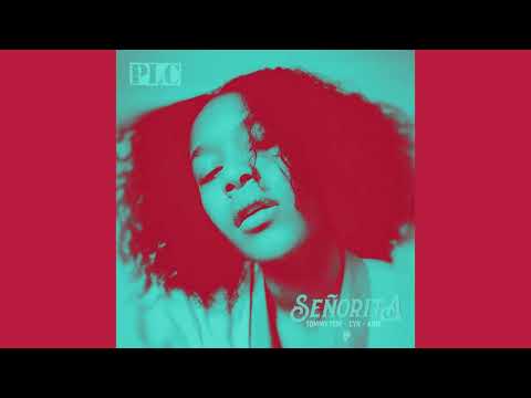 PLC Gang - Señorita (Tommy TOM x Cyr x KING Ndasex)