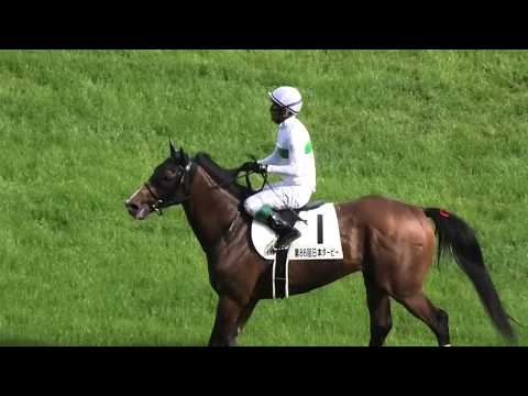 2019 令和元年 第86回 東京優駿GⅠ（日本ダービー） ウィニングラン 現地映像 ロジャーバローズ