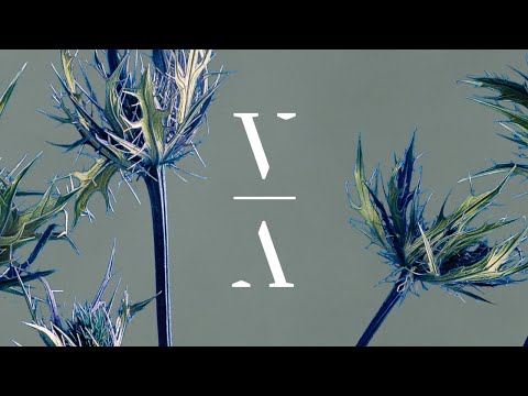 Grigoré - Heart Pure