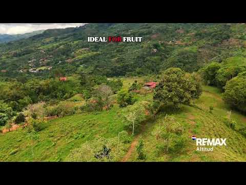 img-video