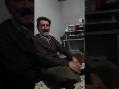 Berame kaze (2021) canlı