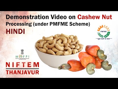 Demonstration Video on Cashew Nut Processing (under PMFME Scheme) - HINDI