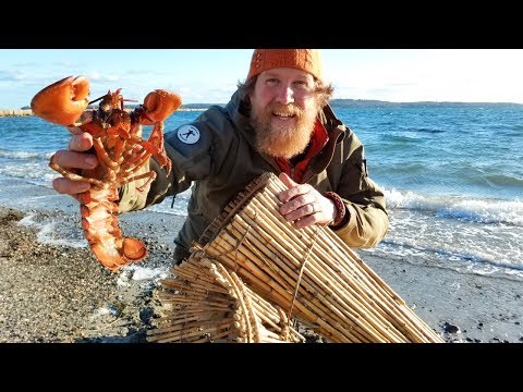 Catch and Cook a Lobster In a Primitive Fish Trap (87 days episode 23) Video