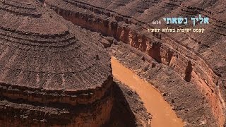 "אליך נשאתי" - קעמפ ישיבות בעלזא & הרשל בריסק - המקהלה הגדולה בתולדות המוזיקה החסידית (וידיאו)