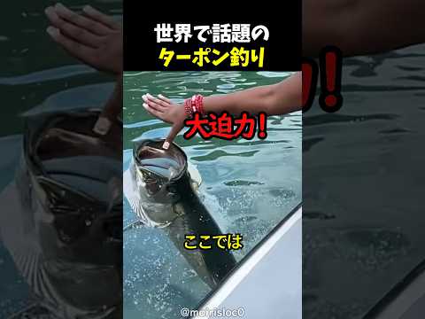 世界で話題のターポン釣り