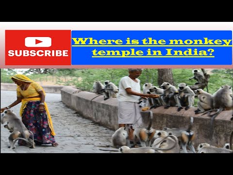 Licensed india travel guide