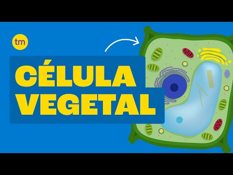 CÉLULA VEGETAL| Estrutura e Funções