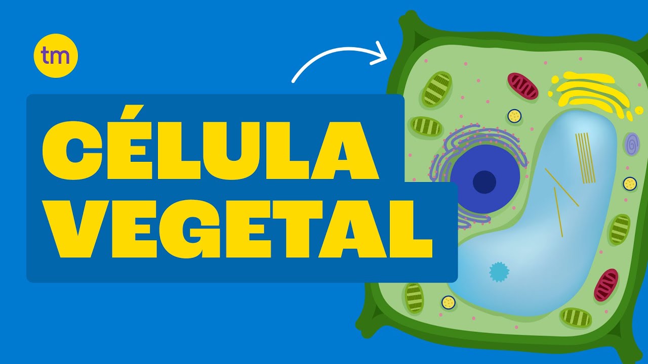 CÉLULA VEGETAL| Estrutura e Funções