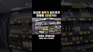 이건 무조건 사야지!!! #이스타나 #자작캠핑카 #내차타고세계여행 #유라시아횡단 #보드카 #벨루가 #shorts