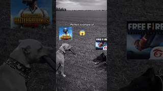 Download lagu rdx gana . FREE FIRE vs PUBG mp3