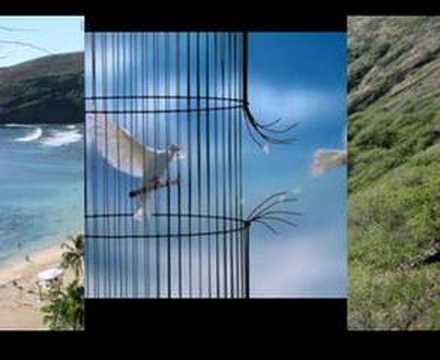 Mahmoud Migri - Houriya