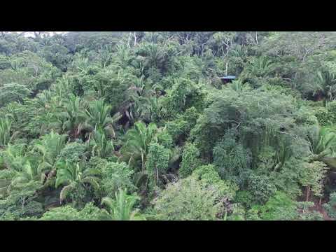 img-video