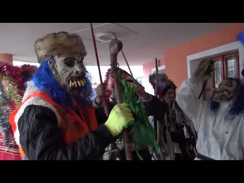 Capra de la Satu Nou 2018#