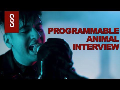 Sounds and Shadows Interview with Drepsea from Programmable Animal