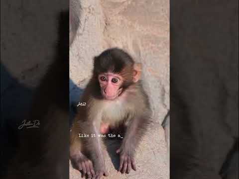 Sometimes the smallest hug can heal the biggest loneliness.