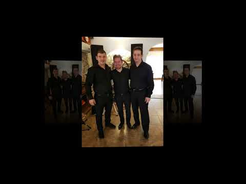 Formatia SELECT Satu Mare -De cate ori beu horinca - live (cover)