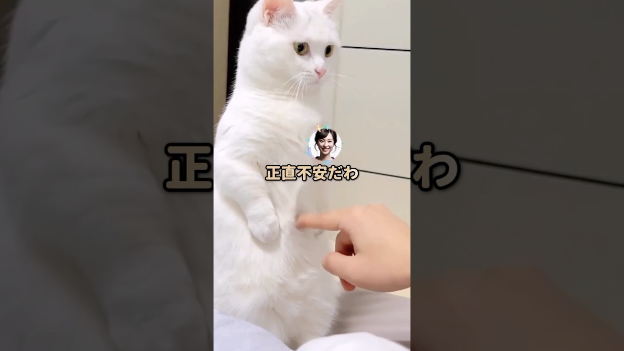 【スカッと】私にマウントをとってきた義母が撃沈www