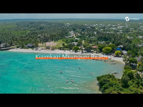 Things to do in Kizimkazi Mkunguni Beach. #unforgettable #tanzania #beach #zanzibar #africa