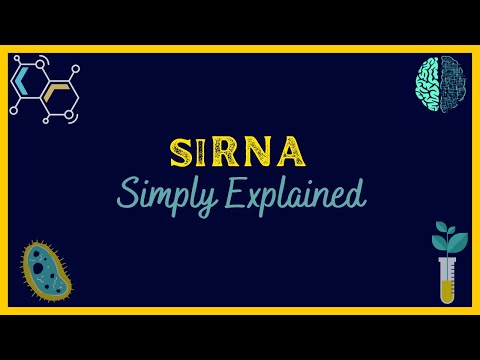 What is siRNA | Simply Explained
