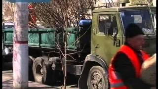 Озеленення
