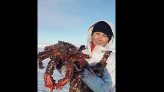 Краб колючий когда ловить