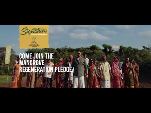 Signature Packaged Drinking Water Presents The Mangroves Regeneration Pledge