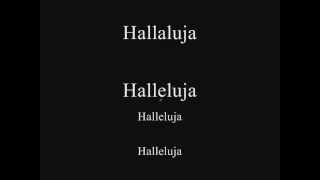 Hallelujah (Rufus Wainwright) Instrumental/Karaoke for female (lyrics on screen)