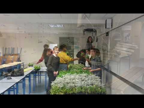 download lagu mp3 mp4 Institut Sainte Genevieve, download lagu Institut Sainte Genevieve gratis, unduh video klip Institut Sainte Genevieve