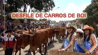 preview picture of video 'Desfile Carro de Boi Ipuiuna 2015'
