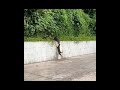 Random Videos On Internet Funny Reels Laugh Gags Nice Amazing Funnyvideo Funnyclip