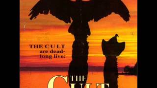 the cult live full concert