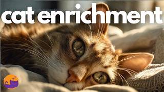 🔴 EXTENDED - Cat Enrichment Music Therapy 🐱 Anxiety, Boredom, Illness