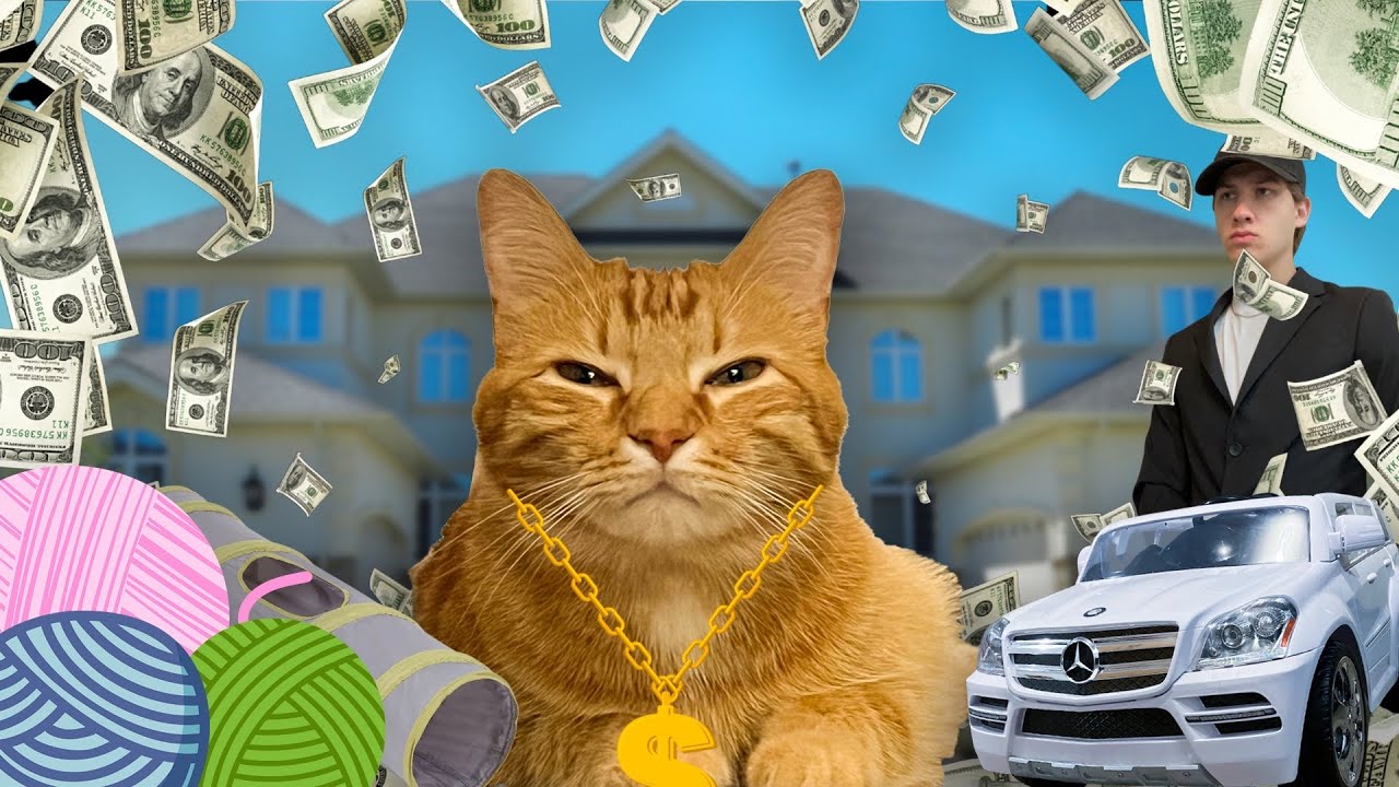 Meet The Worlds Most Spoiled Cat