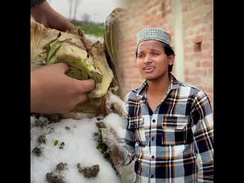 🤣🤣#student #studentlife #schoollife #school #teachers #teacherbelike