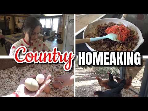 Macht diese Taco-Lasagne zum Familienessen! 😲 Außerdem: Rice Krispie Treats ❤️ Südstaatenküche