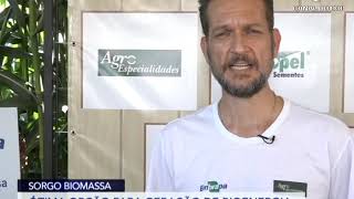 Miniatura do vídeo