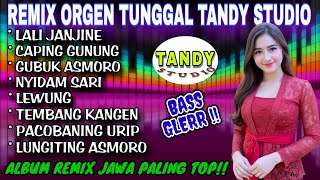 Download lagu REMIX ORGEN TUNGGAL TANDY STUDIO❗Album remix jawa paling top 2026❗Lali janjine, Caping gunung,Lewung mp3